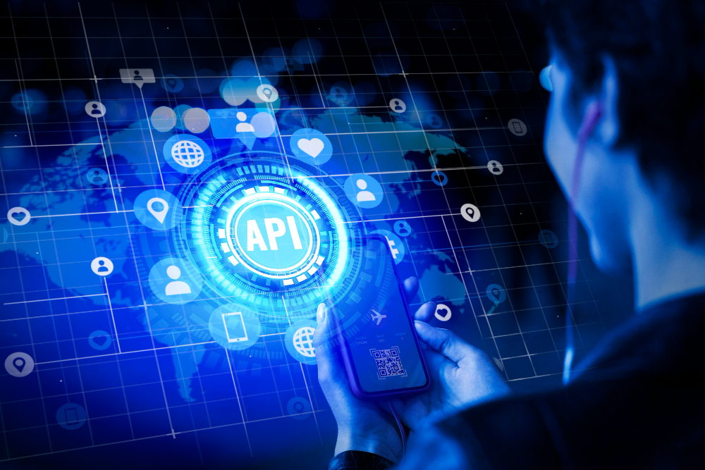 API integration services